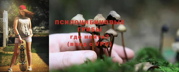 бошки Надым