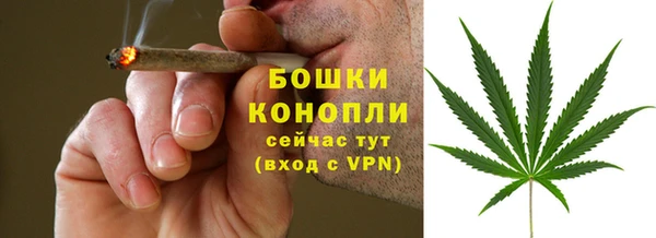 бошки Надым