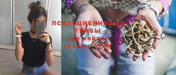 бошки Надым