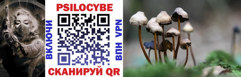 блэк спрут как войти  Северск  Псилоцибиновые грибы Psilocybe 