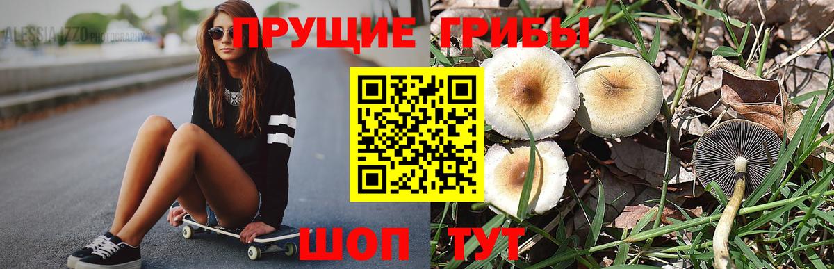 сколько стоит  Вход с VPN  Северск  Галлюциногенные грибы ЛСД 