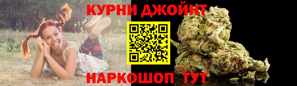 Конопля семена Северск